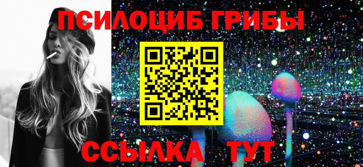 Псилоцибиновые грибы Cubensis Вязьма