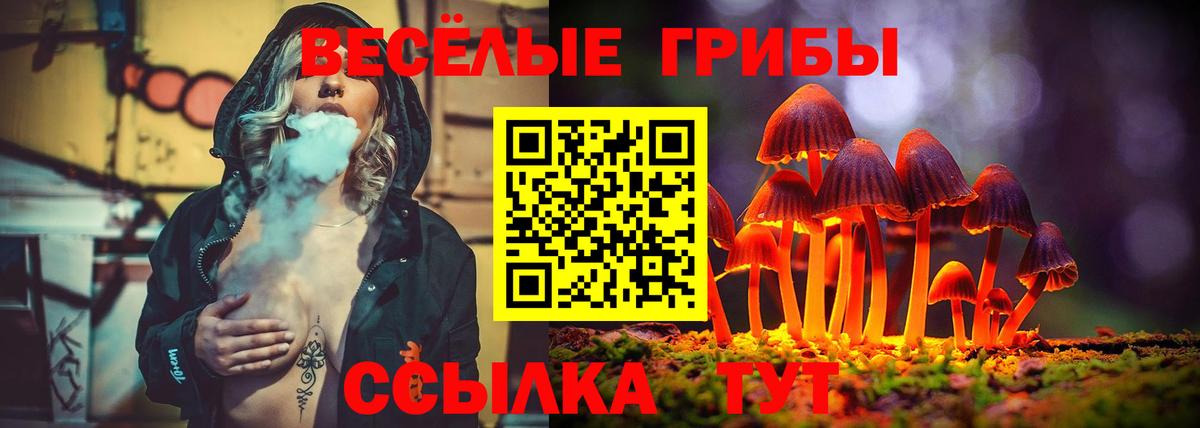 Псилоцибиновые грибы мицелий  Псилоцибиновые грибы мухоморы  Вязьма  Вход с VPN 